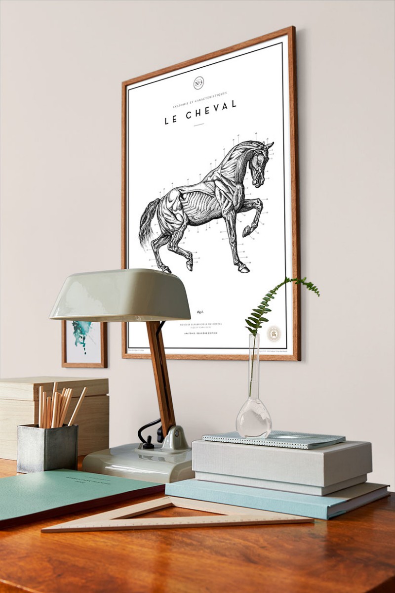 Picture of Pearl - 7962