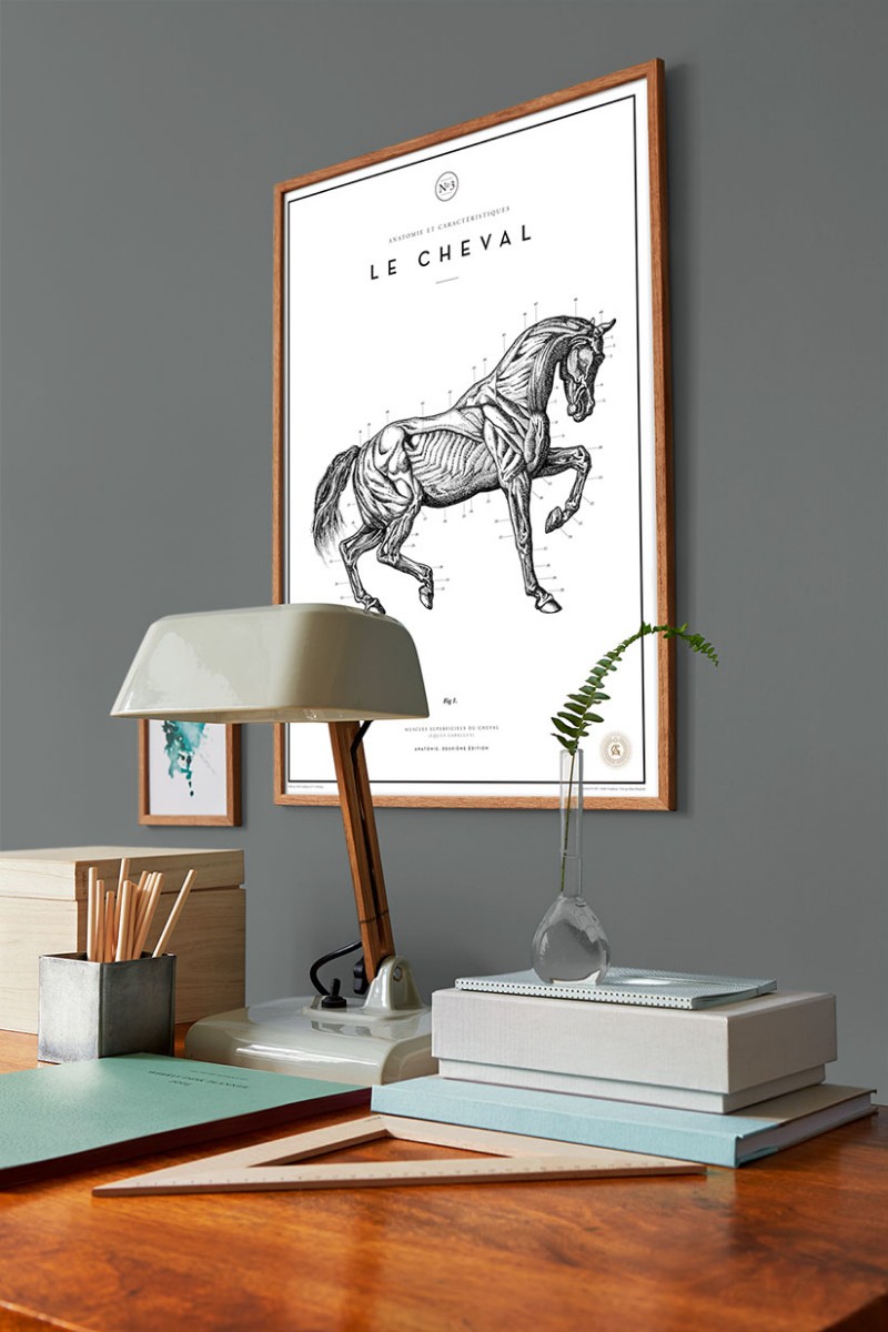 Afbeeldingen van Night Dove - 7961