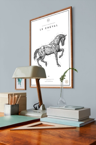 Picture of Drizzle - 7983