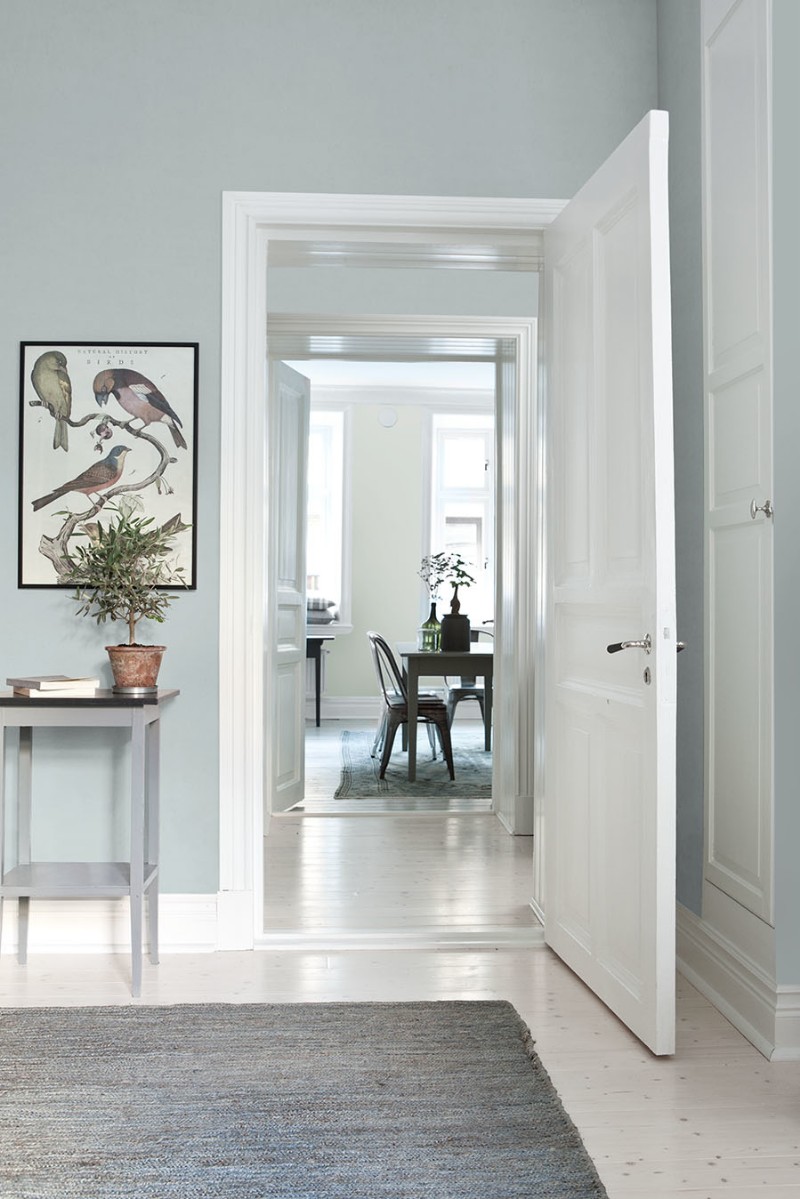 Afbeeldingen van Drizzle - 7983