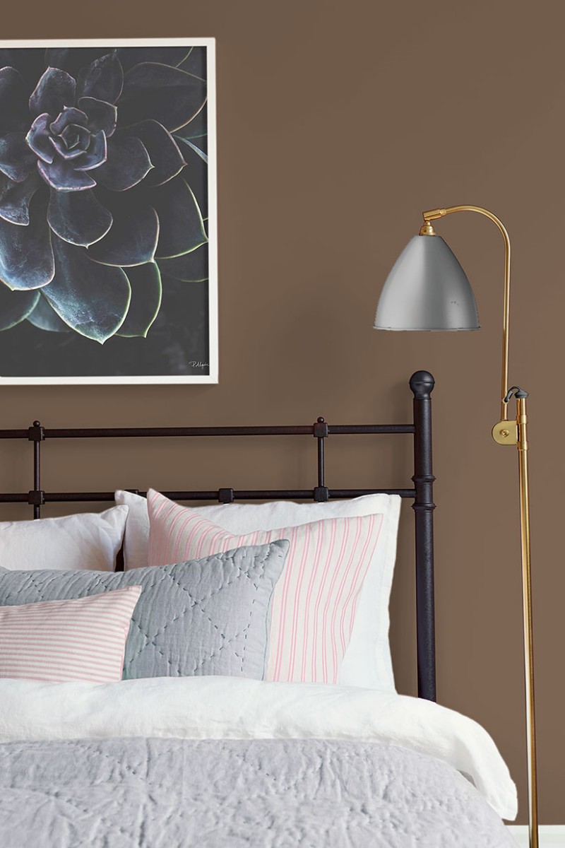 Image de Burnt Umber - 7974