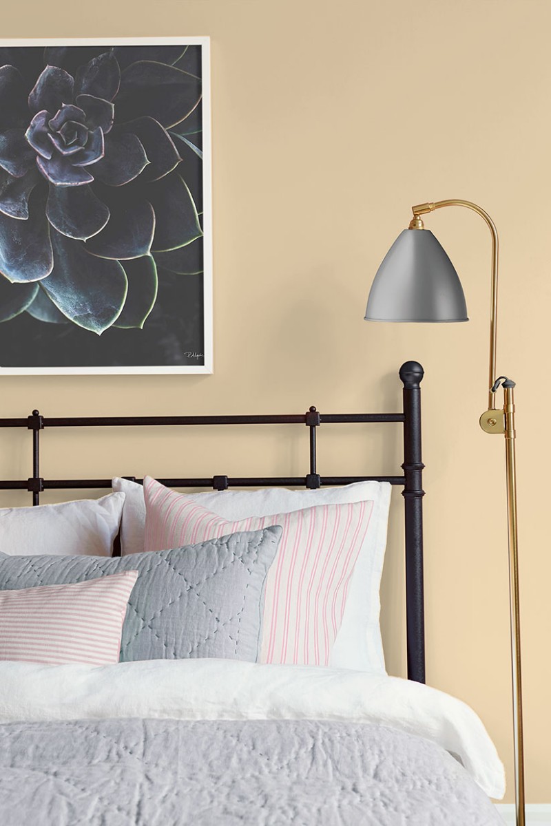 Picture of Vanilla Custard - 7971