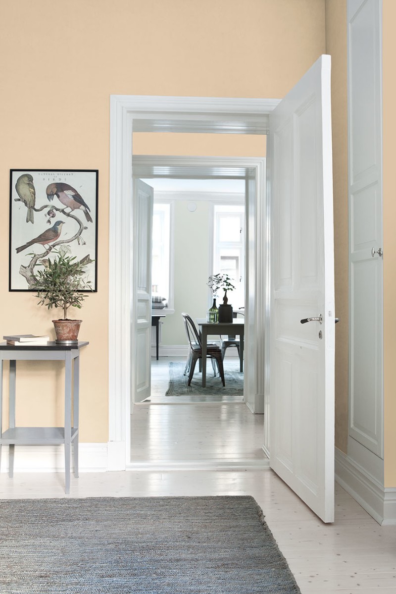 Picture of Vanilla Custard - 7971