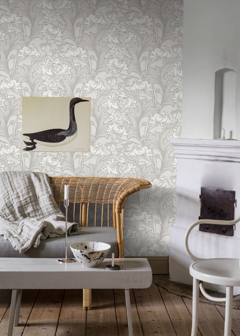 Image de Siri - 4540