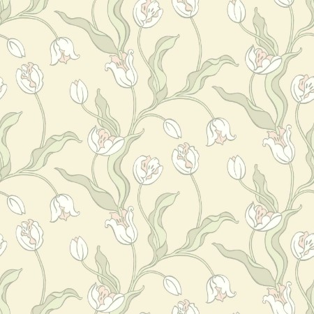 Image de Tulipa - 667-02