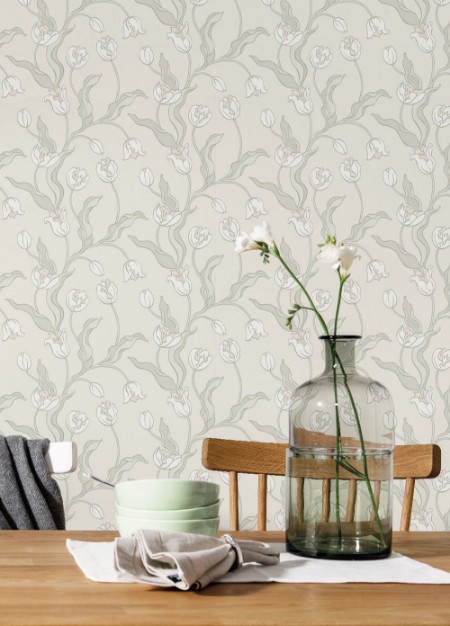 Image de Tulipa - 667-02