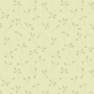 Image de Anemone - 668-01