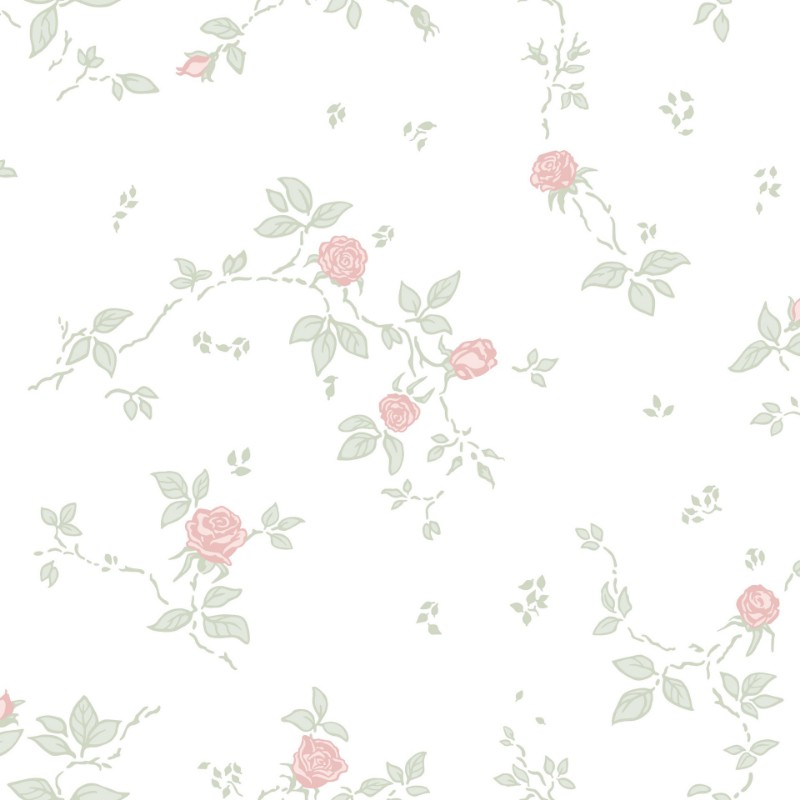 Image de Dessie - 455-01