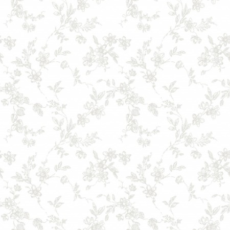 Picture of Bella - 366-01