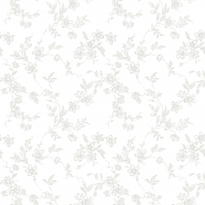 Picture of Bella - 366-01