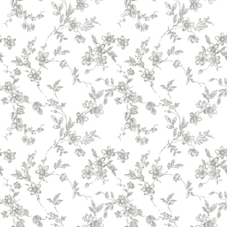 Picture of Bella - 366-03