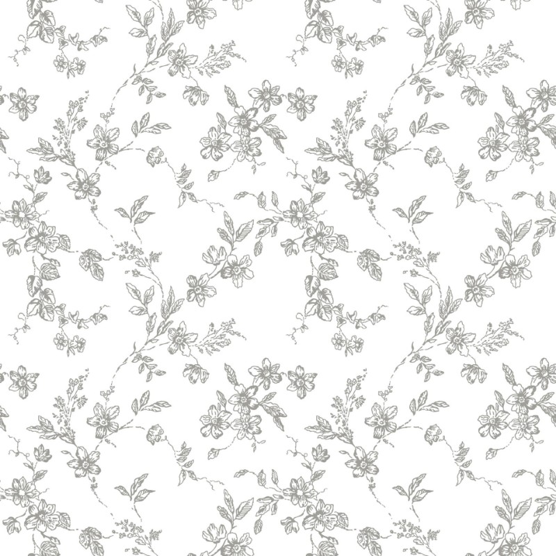 Image de Bella - 366-03