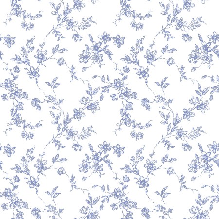 Picture of Bella - 366-04