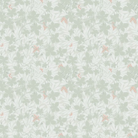 Picture of Vinbärsblad - 367-03