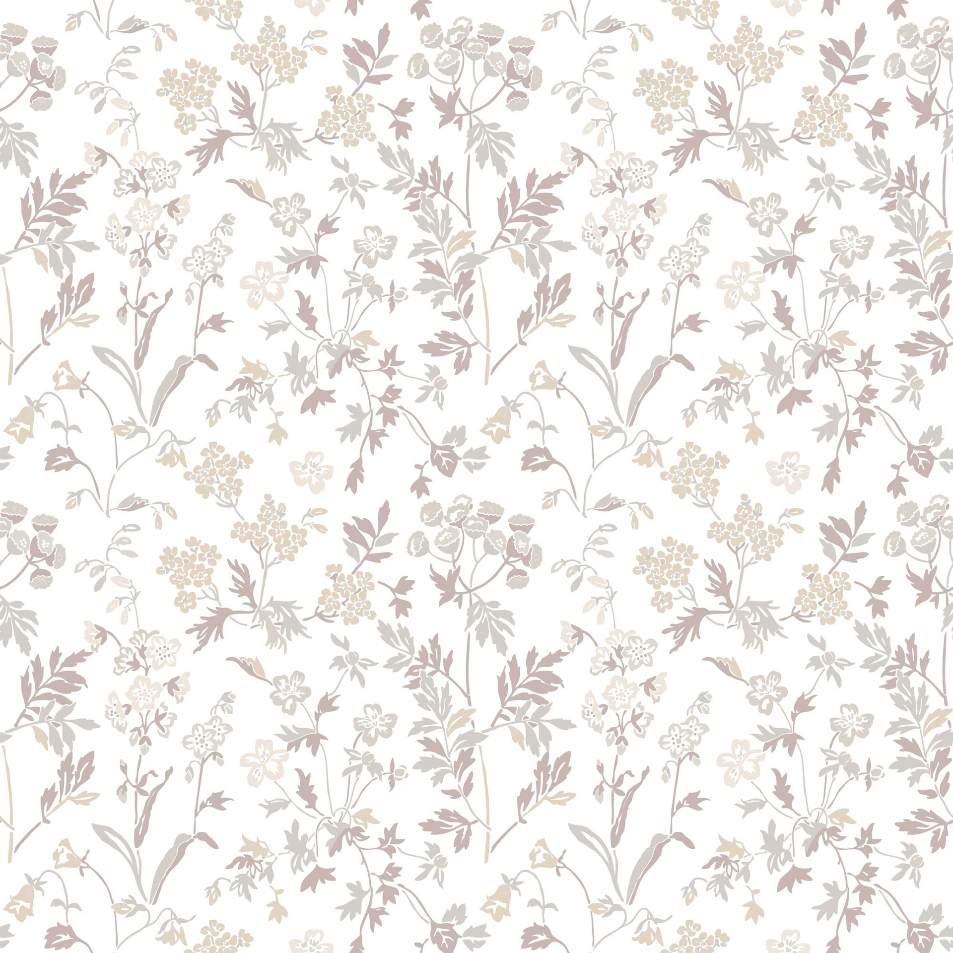 Image de Juni - 378-01