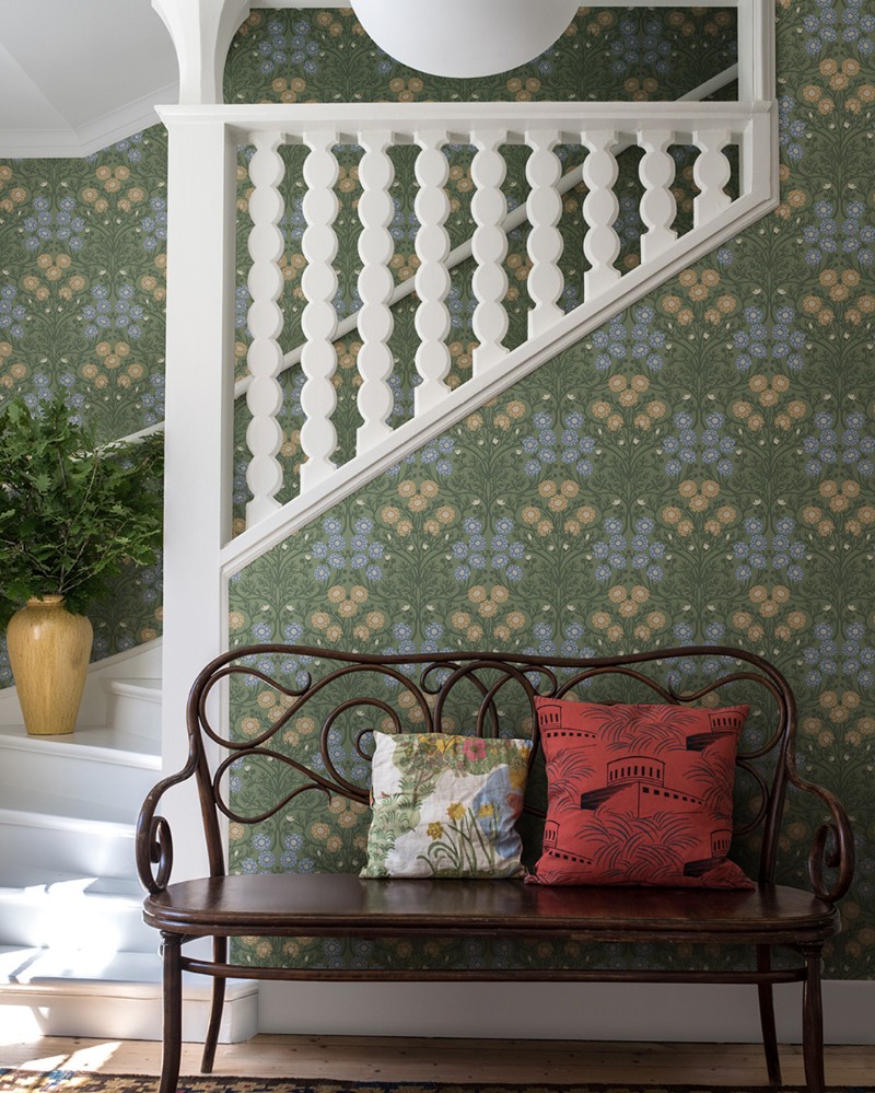 Bild på Bellis - 14019