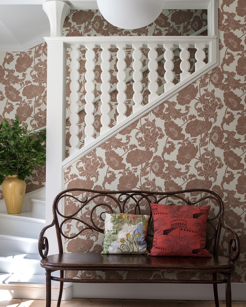 Снимка на Papaver - 14024