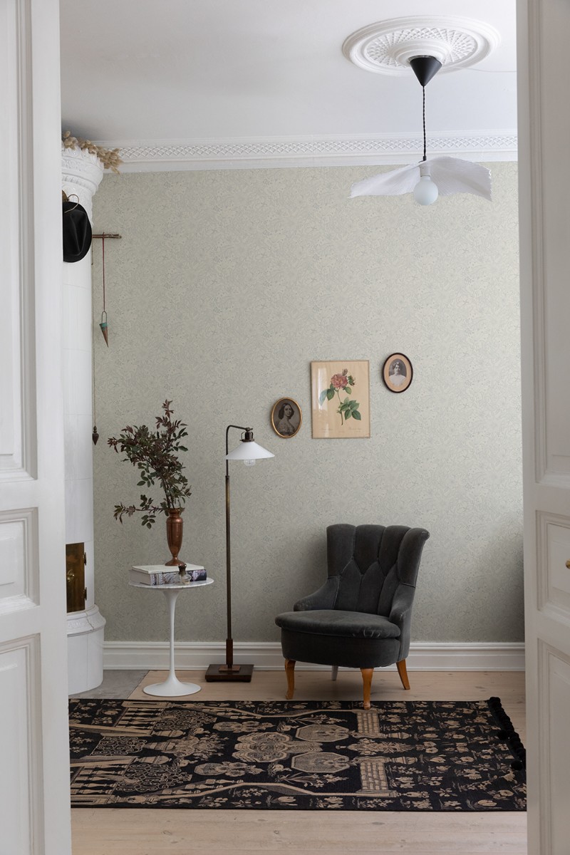 Picture of Wilma - 13125