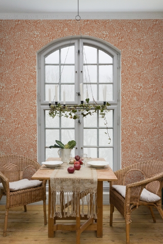 Bild på Siv - 65133