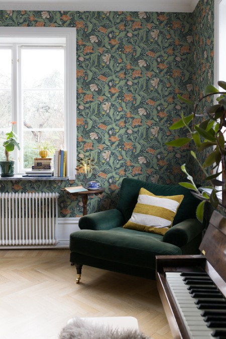 Bild på Bodri - 65116