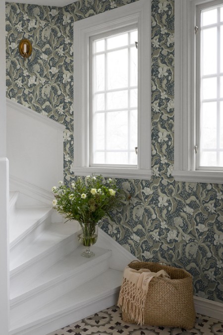 Bild på Bodri - 65117