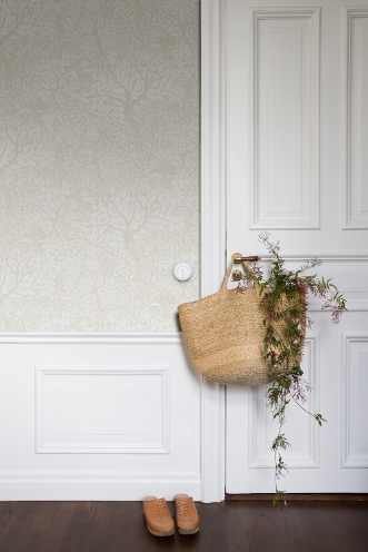 Image de Olle - 83111