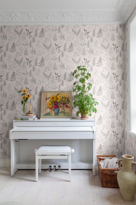 Image de Betula - 15935