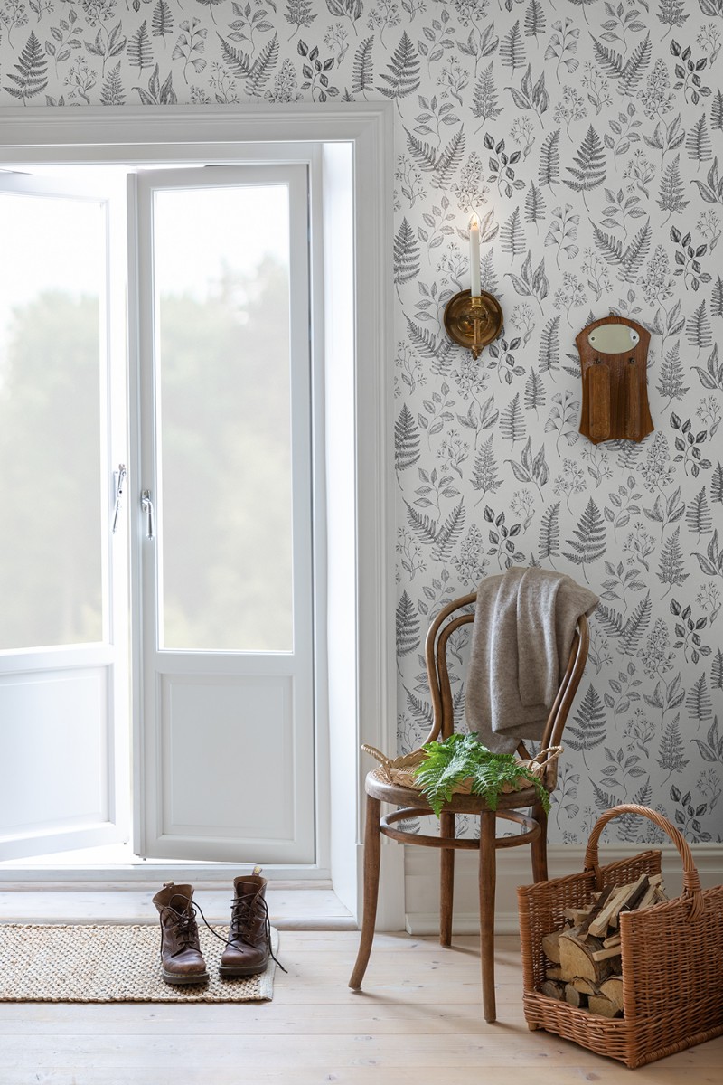 Image de Betula - 15936