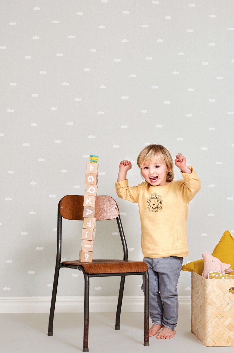 Image de DREAMY CLOUDS SOFT GREY - 132-01