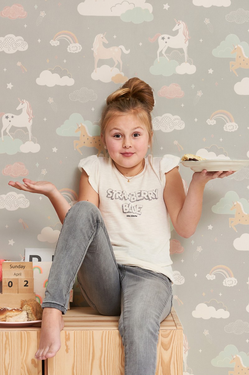 Picture of RAINBOW TREASURES MUD GREY - 129-01