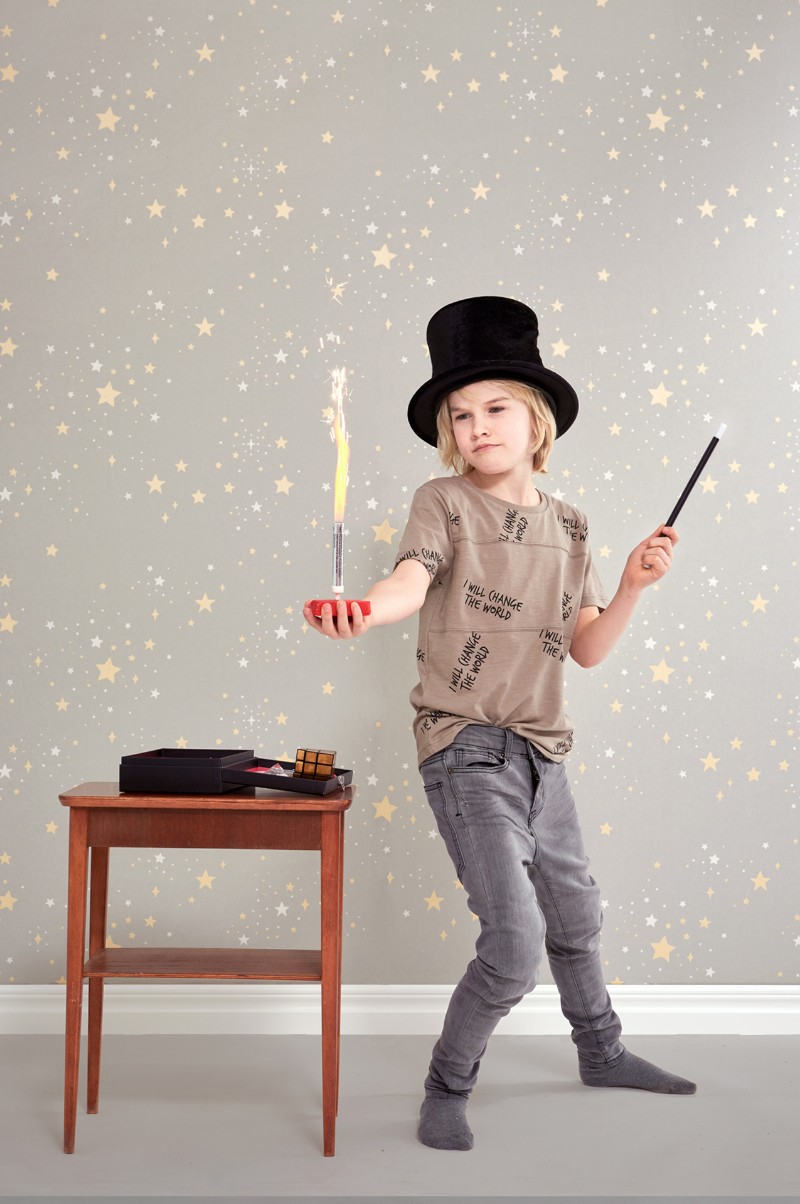 Afbeeldingen van TWINKLE MUD GREY - 135-01