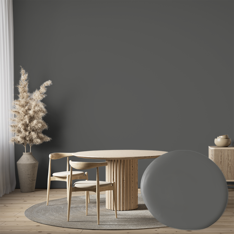 Picture of Paint - Colour W106 Antracit