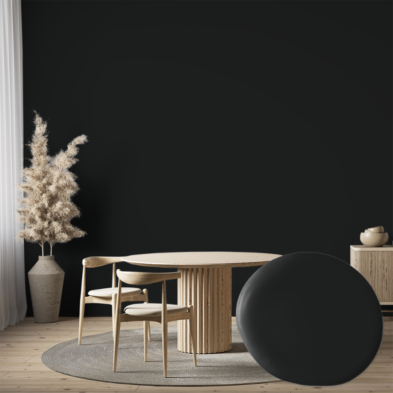 Image de Peinture - Couleur W109 Sotsvart