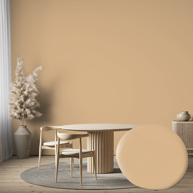 Picture of Paint - Colour W141 Kamel