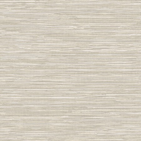 Bild på Grass Cloth - TA25040