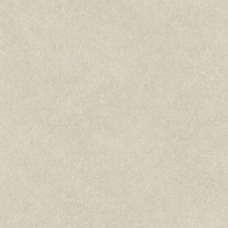 Bild på Leather Plain - TA25020