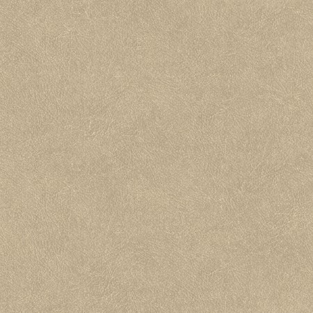 Bild på Leather Plain - TA25021