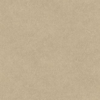 Bild på Leather Plain - TA25021