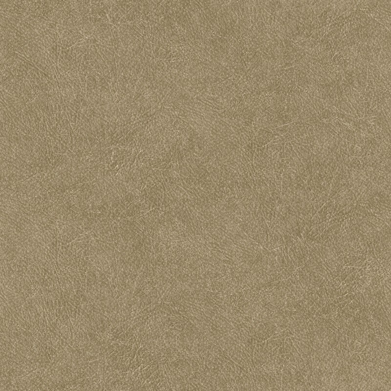 Picture of Leather Plain - TA25022
