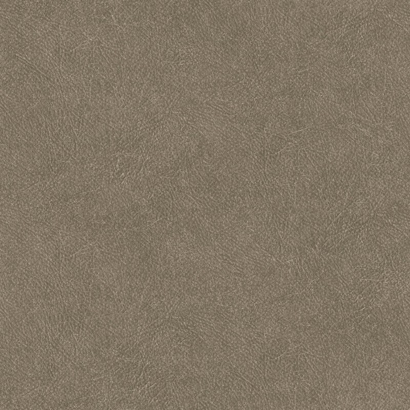 Picture of Leather Plain - TA25024