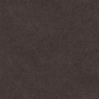 Picture of Leather Plain - TA25028