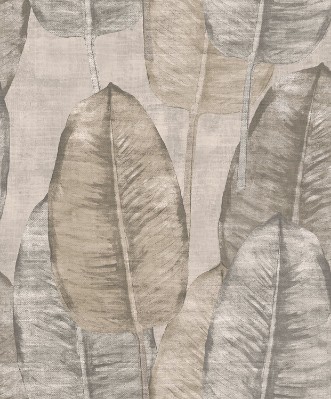 Bild på Rubber Tree - TA25080