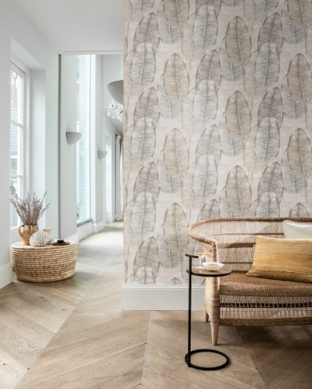 Picture of Rubber Tree - TA25080