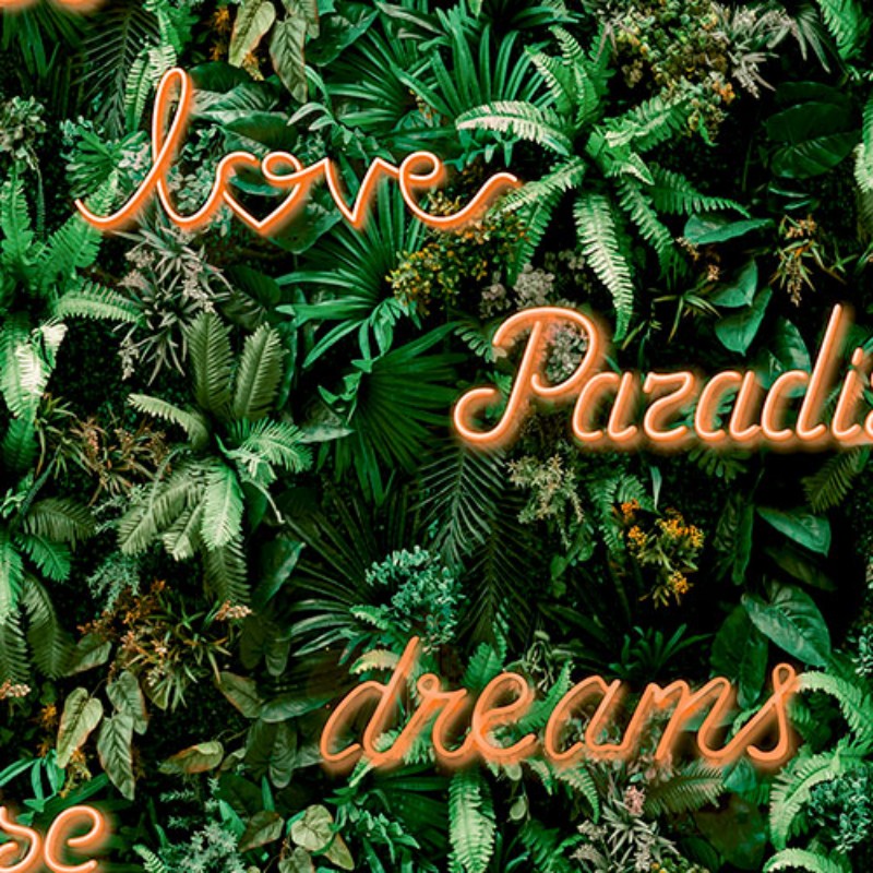 Picture of Paradise Neon - GV24211