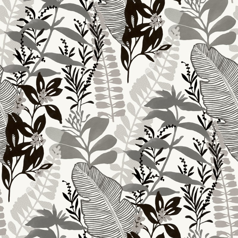 Bild på Tropicana - GV24277