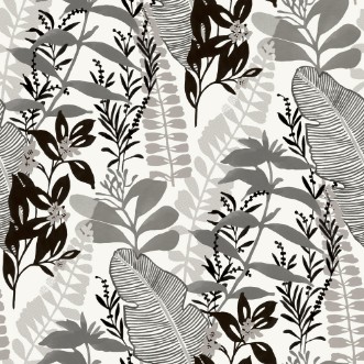 Picture of Tropicana - GV24277