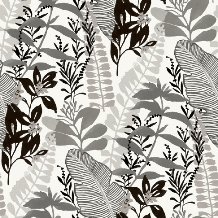 Picture of Tropicana - GV24277