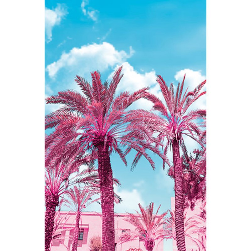 Picture of Palm - GVD24300