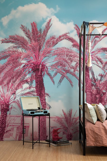 Picture of Palm - GVD24300