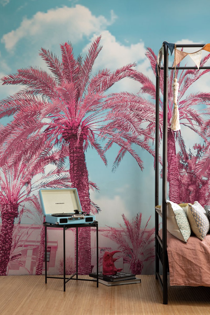 Picture of Palm - GVD24300